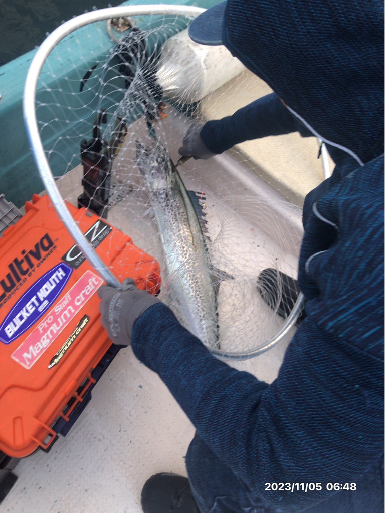 11/5 伊島沖ジギング