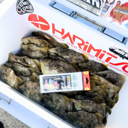 カワハギ/カワハギ仕掛け