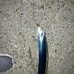 暖かく良い日でした