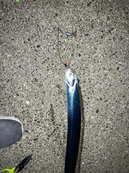 暖かく良い日でした