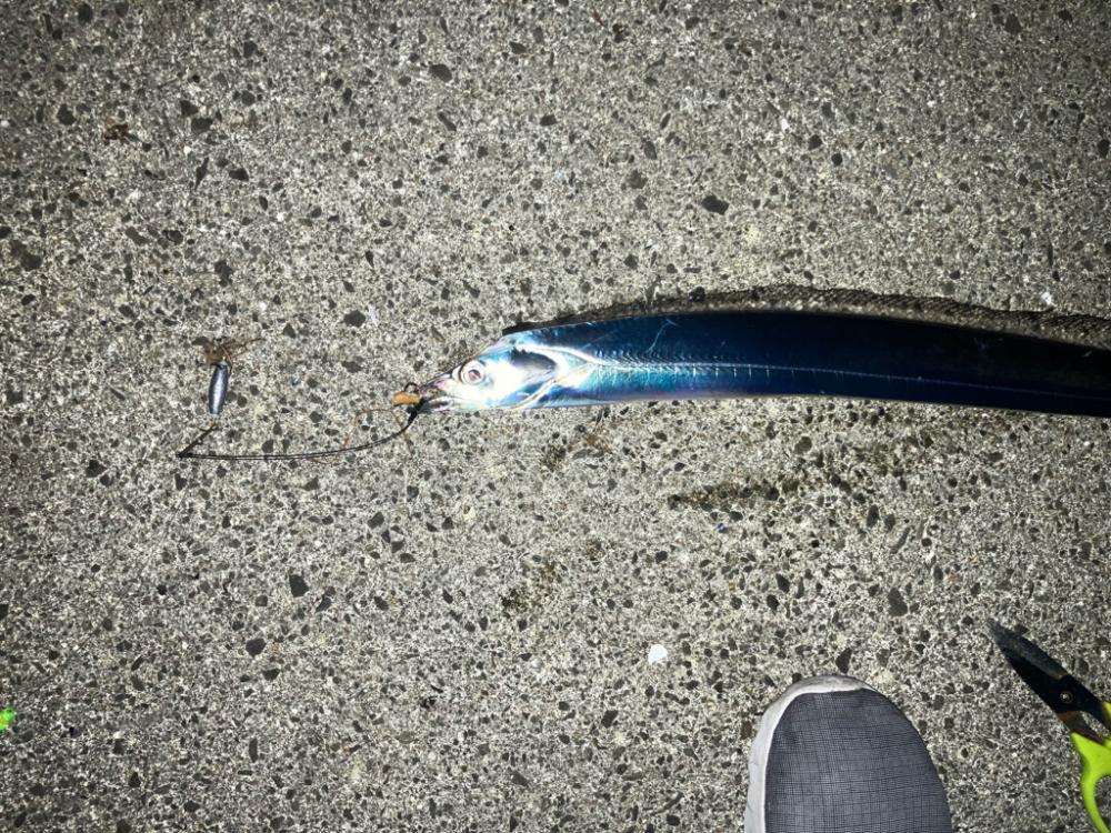 暖かく良い日でした