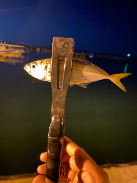 メバリング2023①