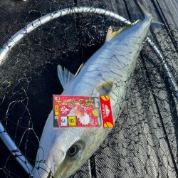 WESTMARINE杯inカタタの釣堀で優勝