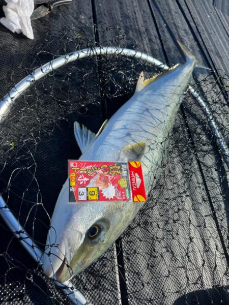 WESTMARINE杯inカタタの釣堀で優勝