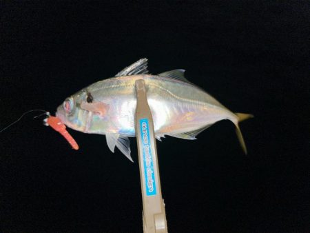 刀狩りに行ったのに・・・