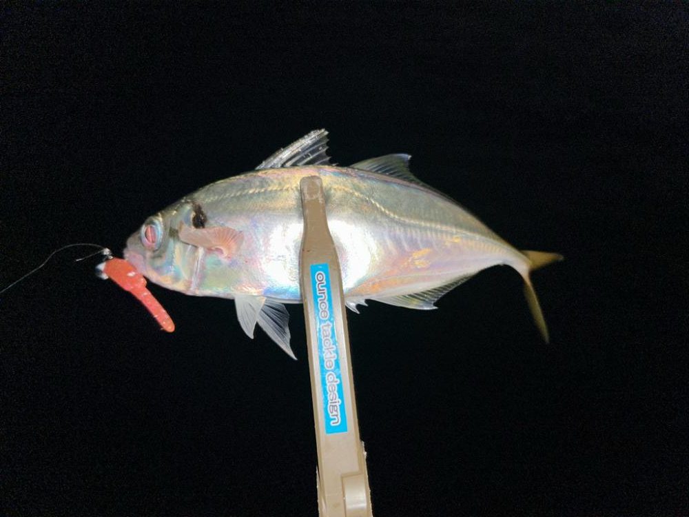 刀狩りに行ったのに・・・