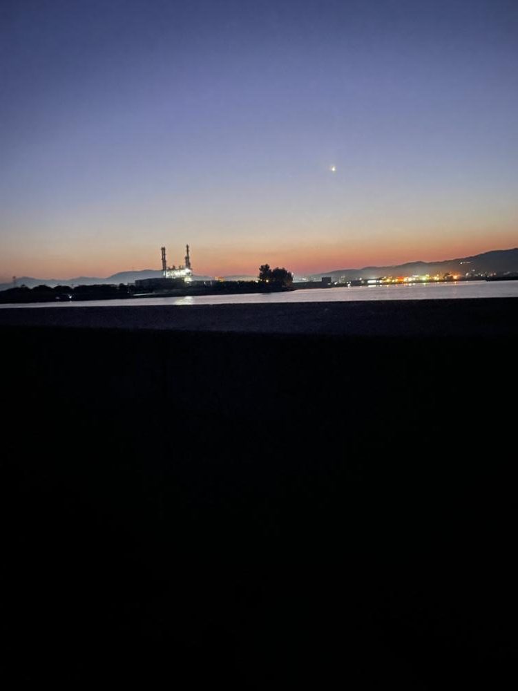 太刀魚のバカ…