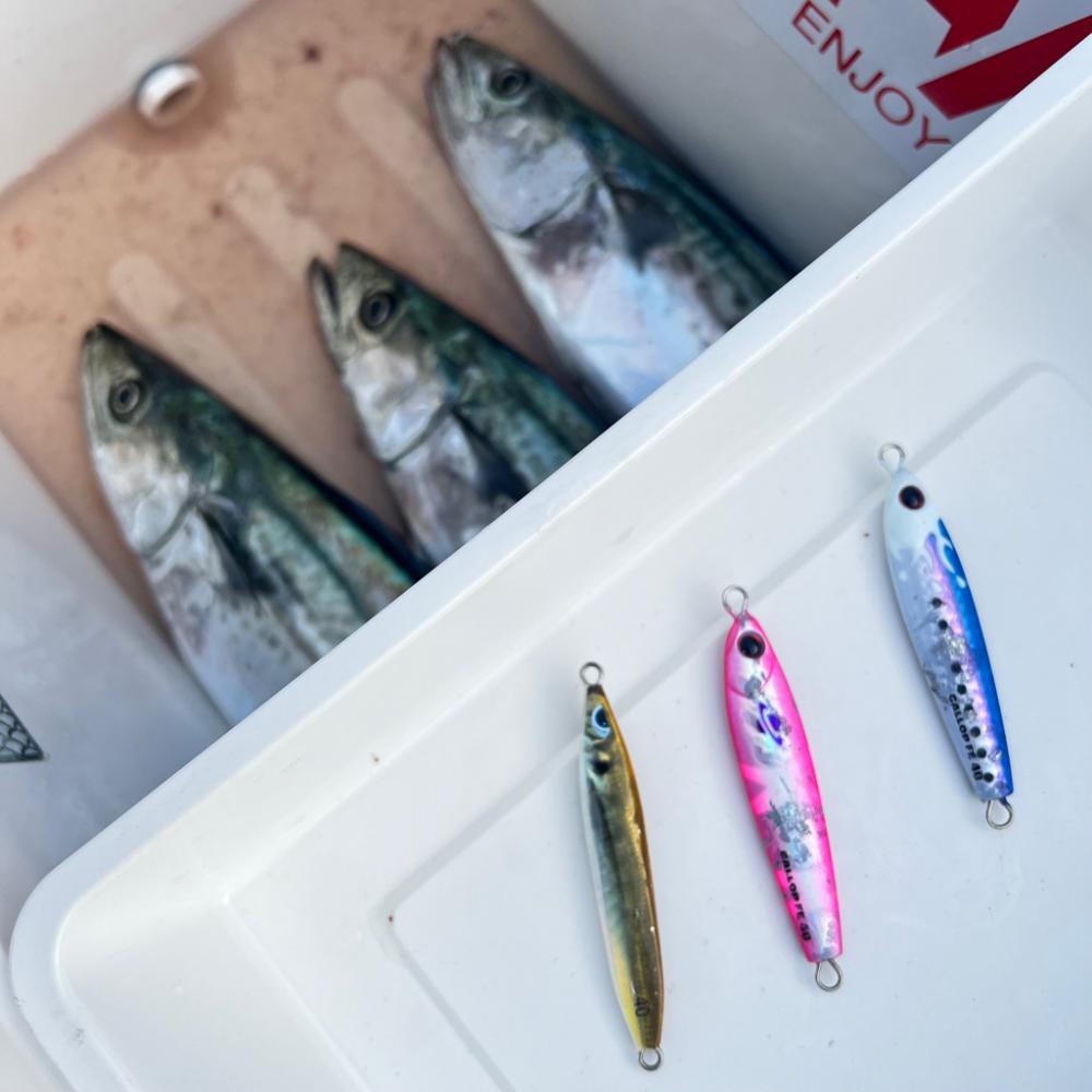 サワラ/ブレードジギング