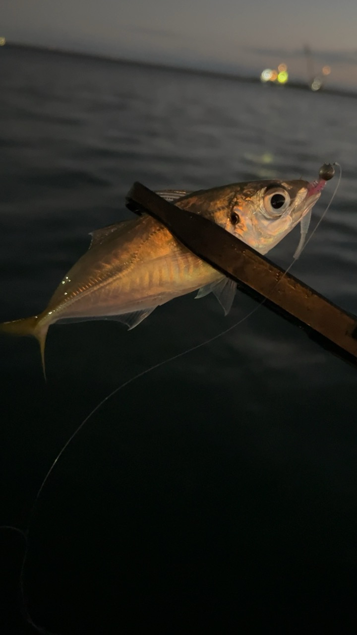 デイアジング♪