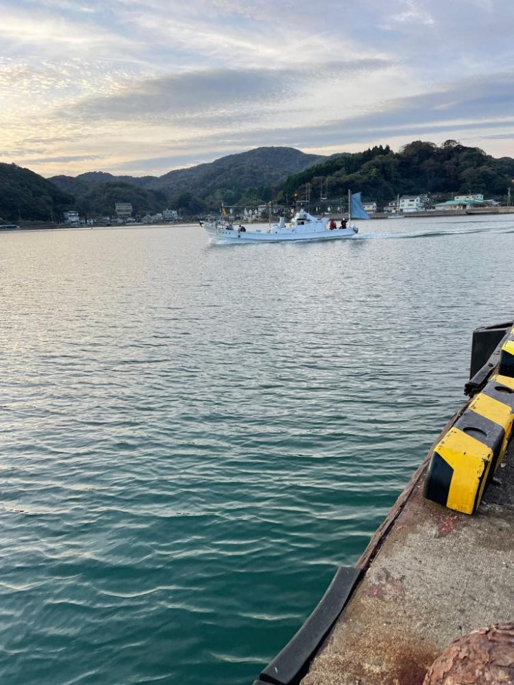 今日も柴山港でアジング