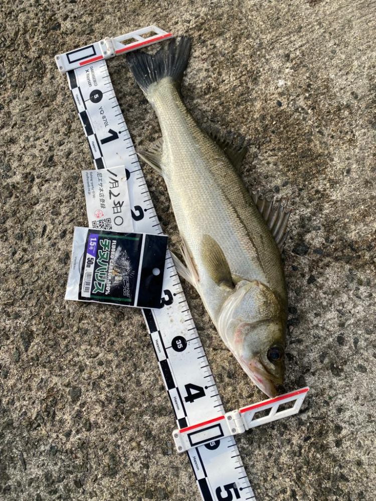 気温差が激しい日