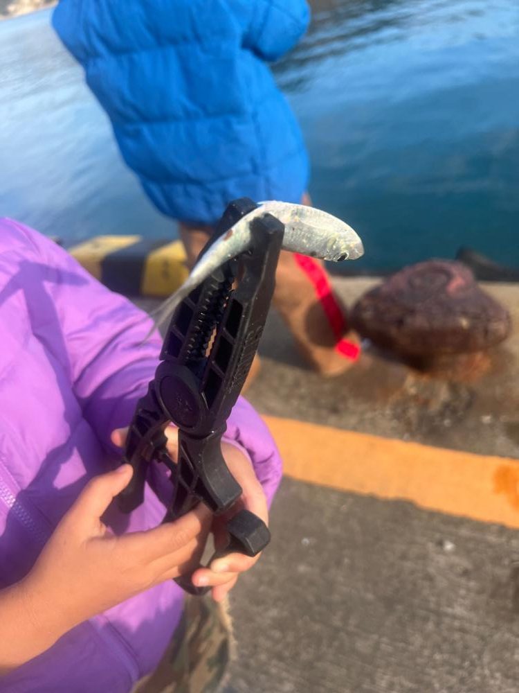 子供達とサビキ