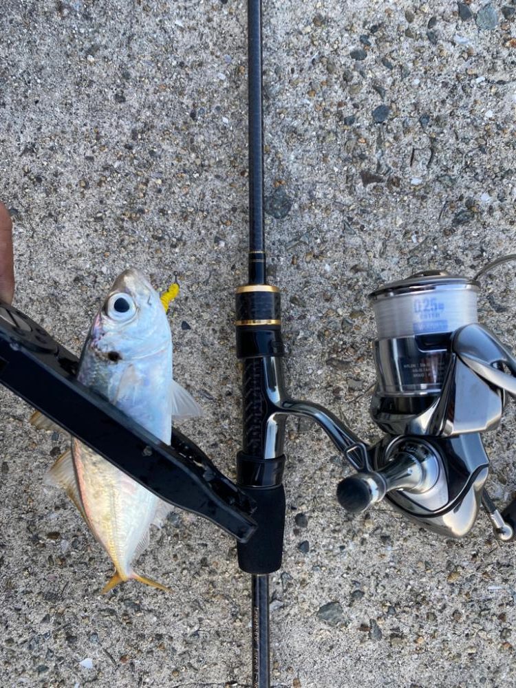 連続デイアジング