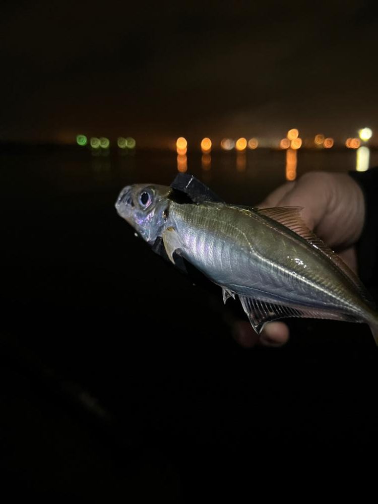 雨の仕事終わりに