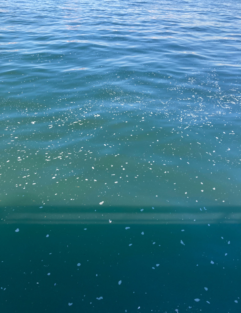 ダラダラ長潮。青牙1本。。