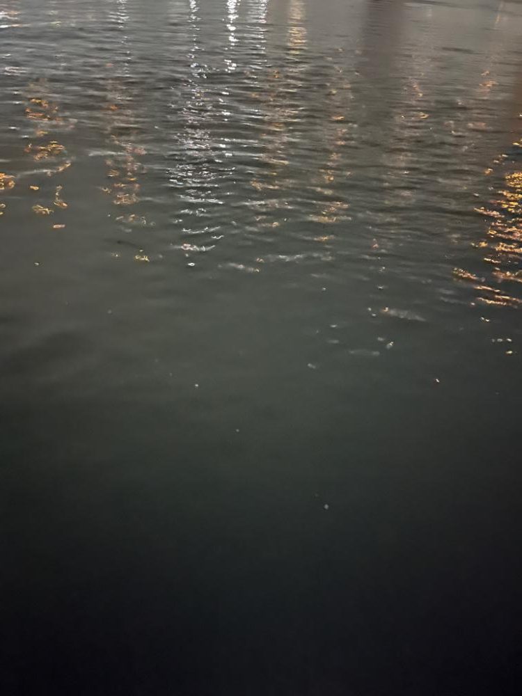 中アジ探して‥