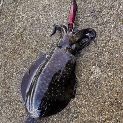 沖の潮目を感じて