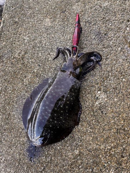 沖の潮目を感じて