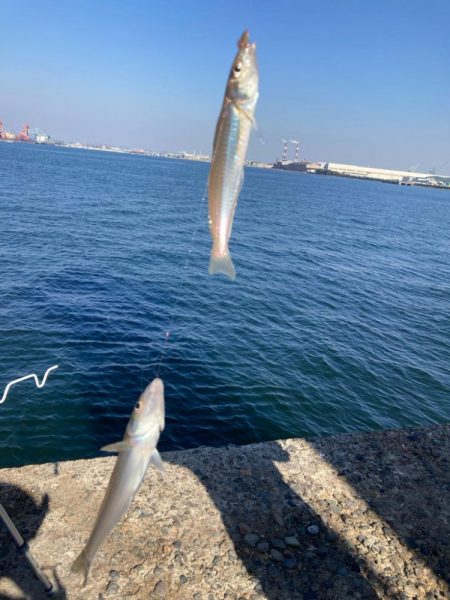東二見〜赤灯台釣行！