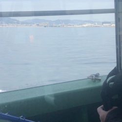 武庫川一文字でサワラ狙い