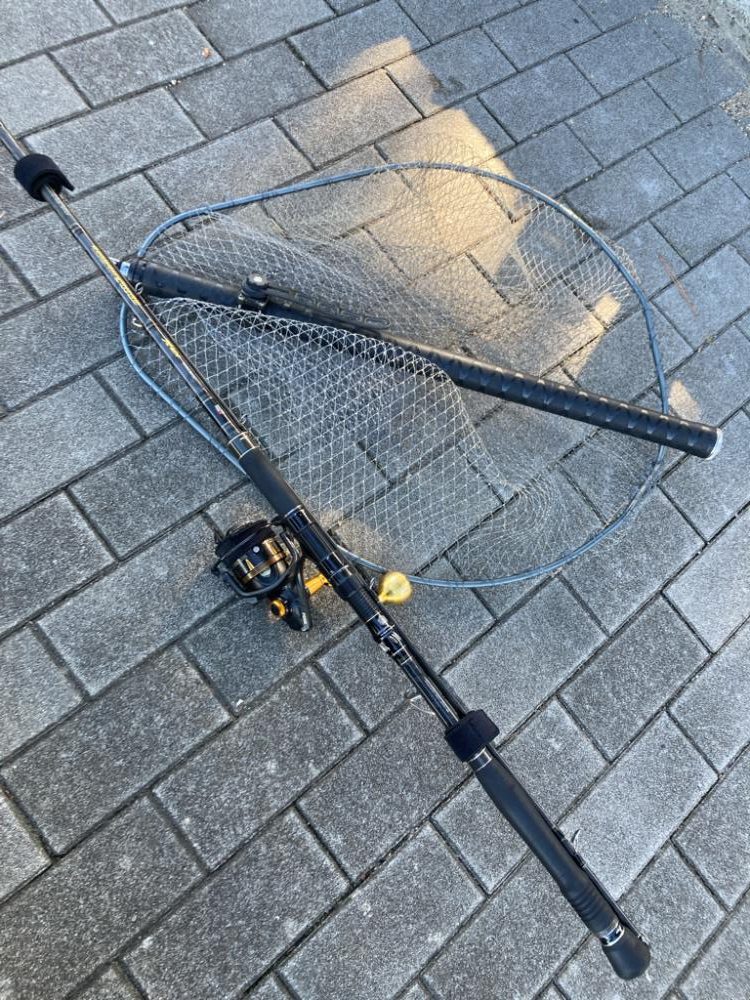 爆風明け湾奥コスモにイルカ飛来。何とか青牙1本。。。