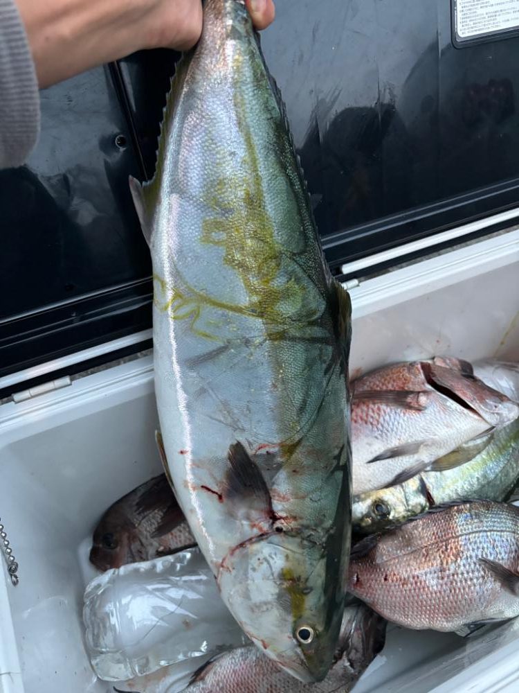 美浜フィッシングパーク