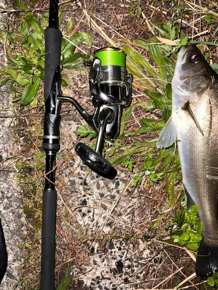 ブローウィン125fの日