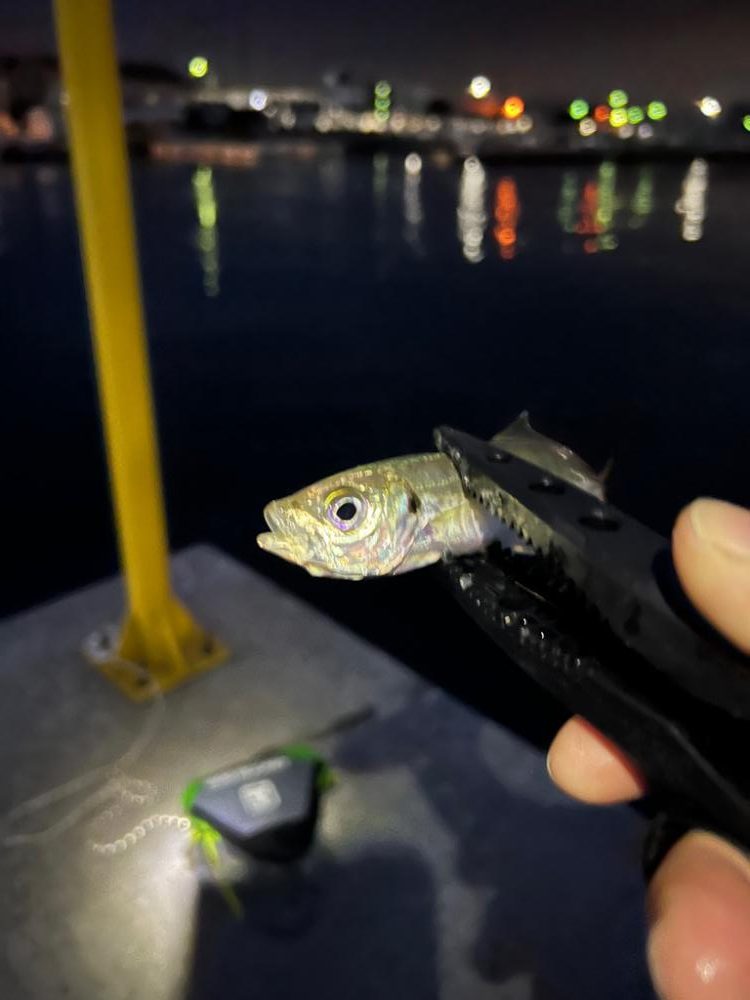 ワームメーカー縛りアジング