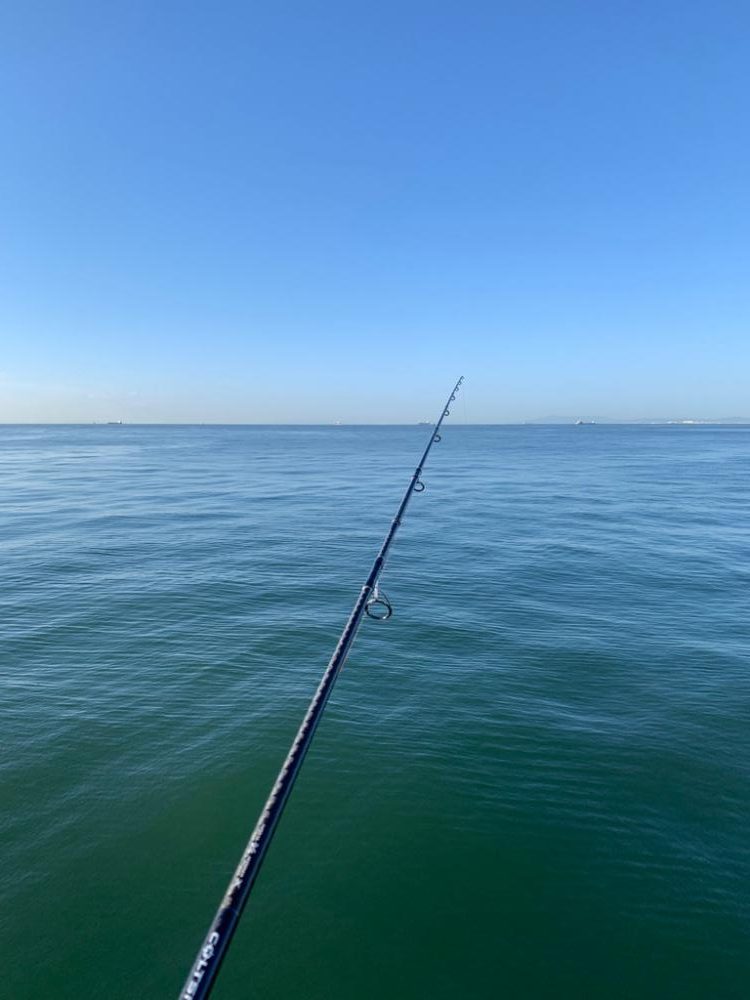 武庫一沖堤防釣行