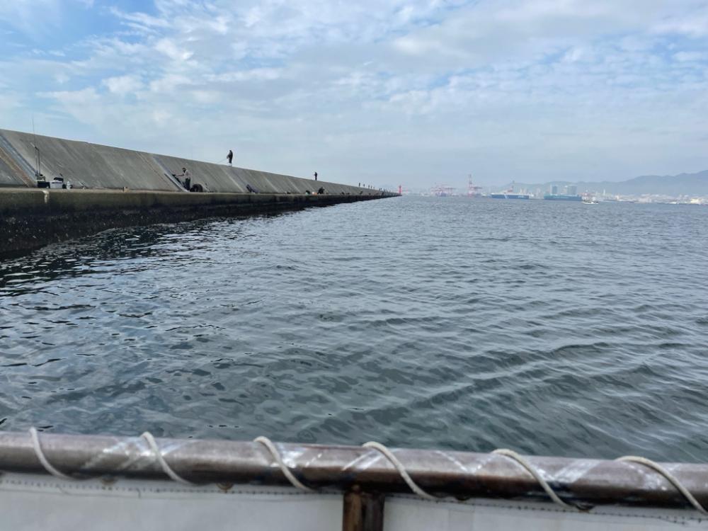 サゴシとシログチ