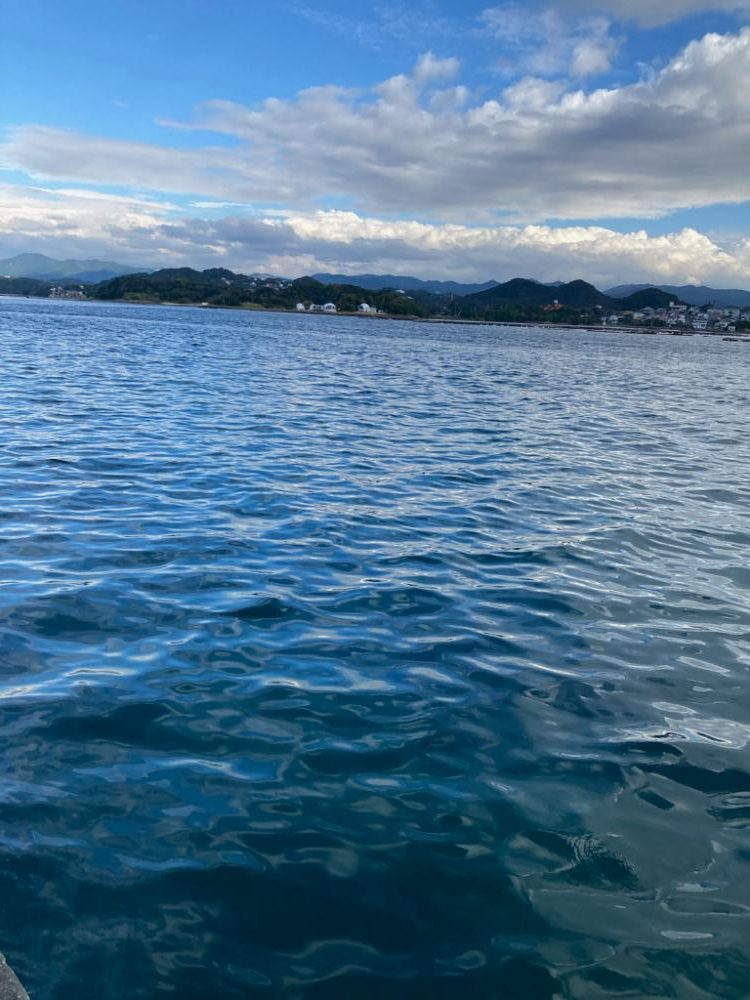 秋のランガンエギング