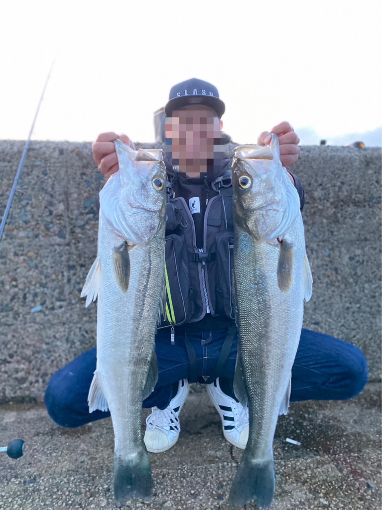 サゴシ狙いのはずが。