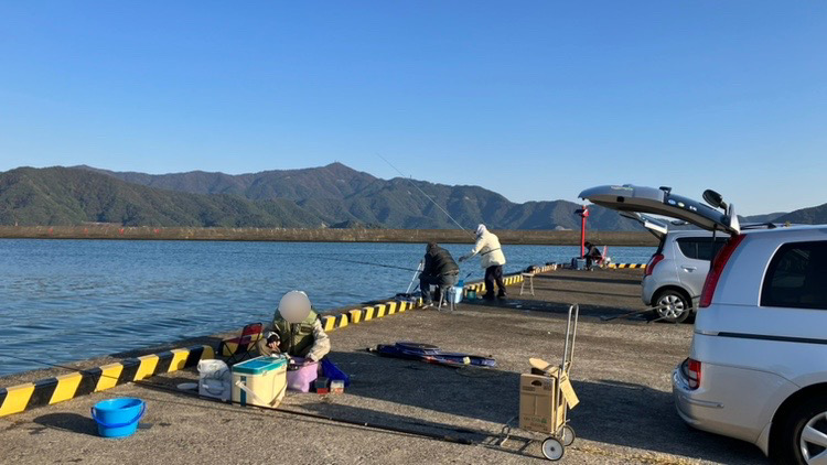 サヨリが釣れた！