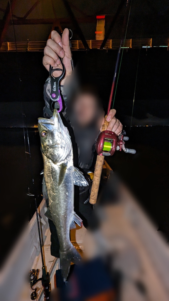 ボートシーバス