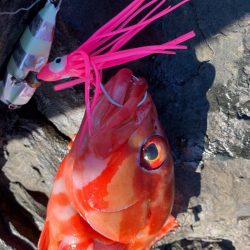 初場所!初魚種!