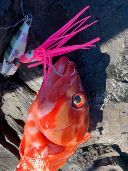 初場所!初魚種!