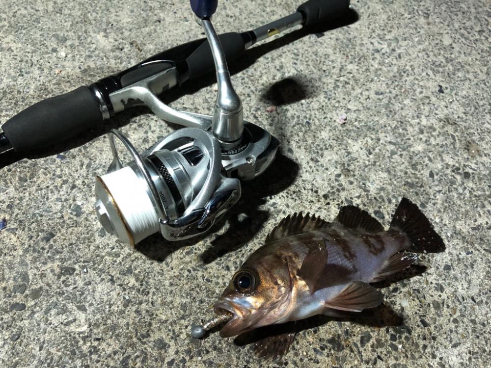 まさかの一本😆✨