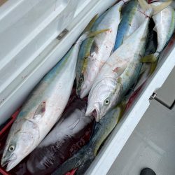 丹後沖ジギング