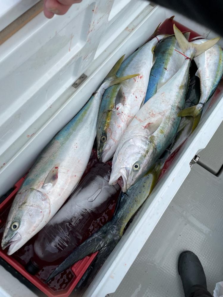 丹後沖ジギング