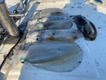 日本海ティップラン