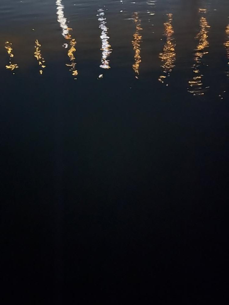 中アジ求めて‥