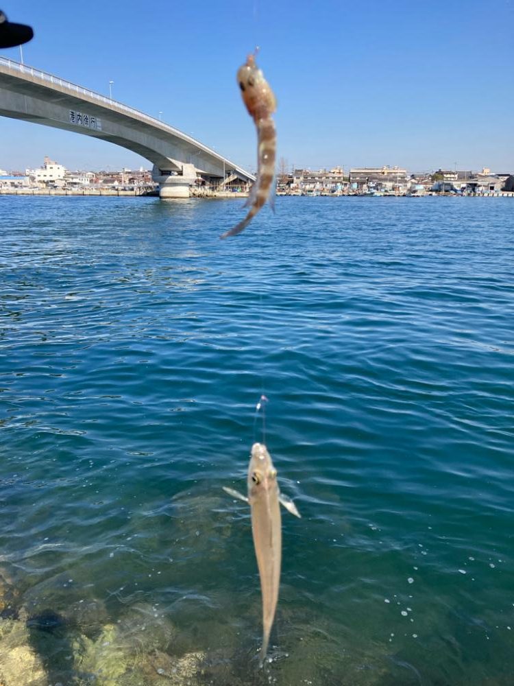 東二見釣行!