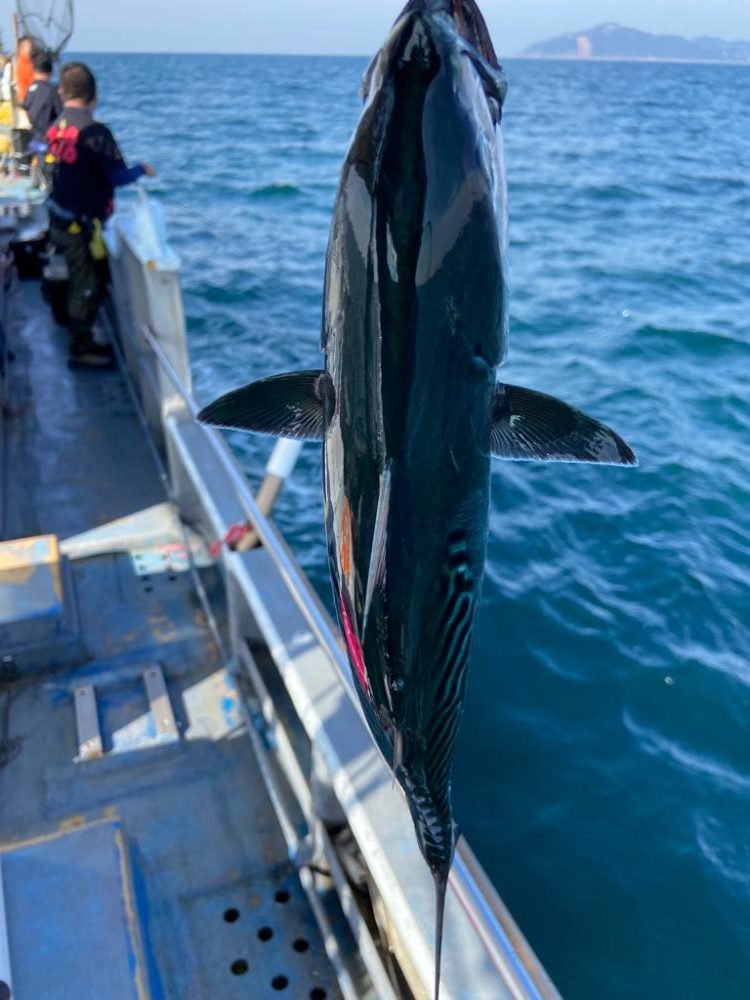 泰斗丸でシオジギング