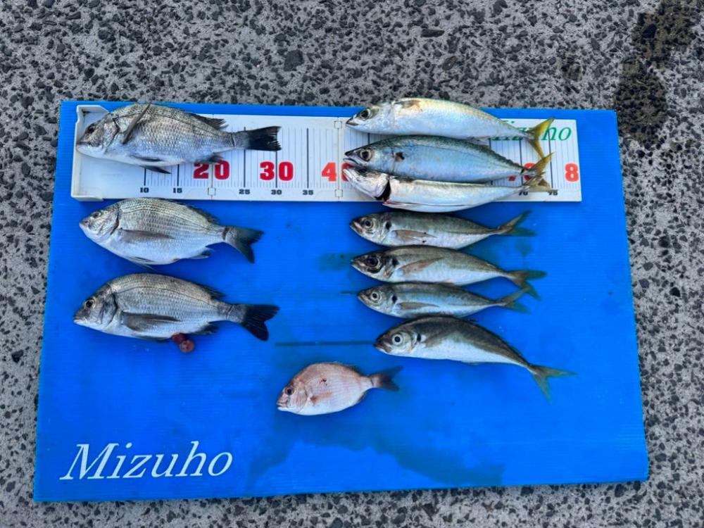 久々の筏釣りで爆釣！