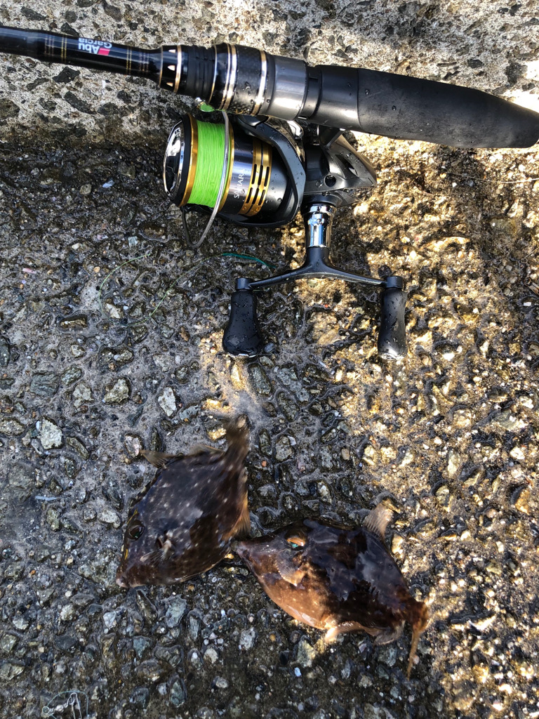 もう冬の海ですか?まったり胴突き