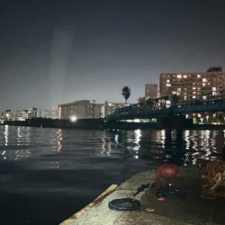 30分でツーキャッチ