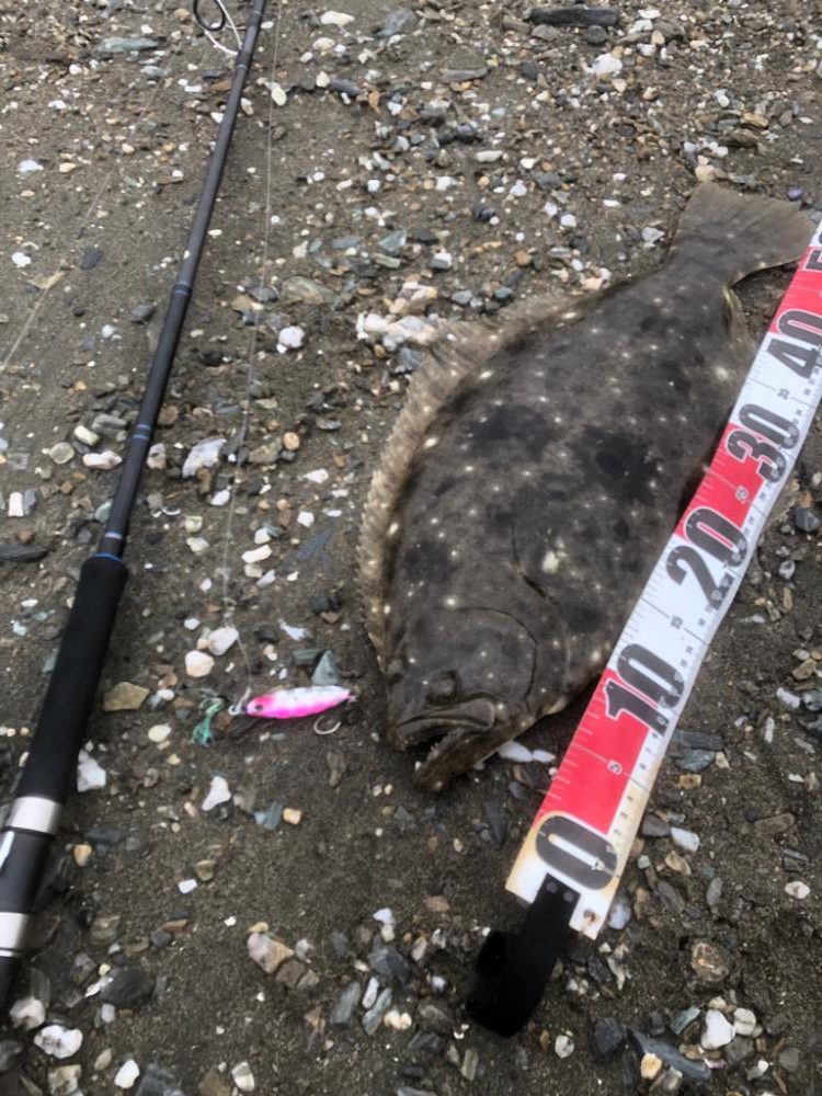 サーフでフラット狙い