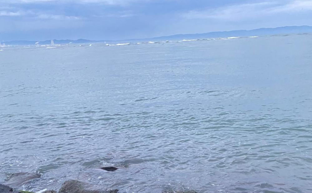 ランカーシーバス