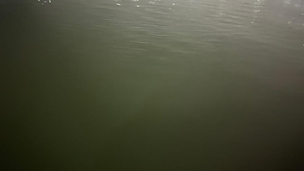 不調の中の癒し