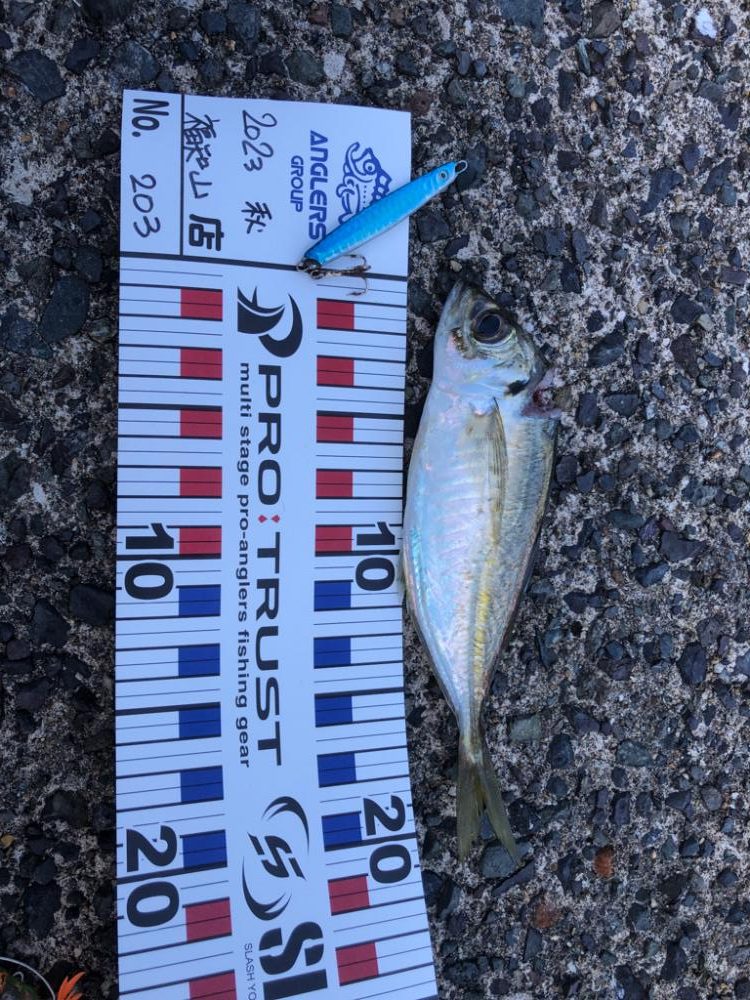 風裏のポイントで